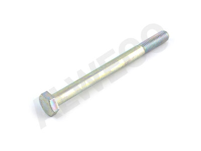 Hex. bolt DIN931 8.8 galv.  M10x120